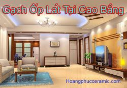 Gạch ốp lát tại cao bằng nhều mẫu mã đẹp