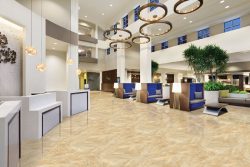 Nhà phân phối gạch ốp lát