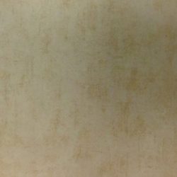 Gach-6060-Vietceramics-60YR5019C