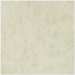 Gach-6060-Vietceramics-60yr5019a