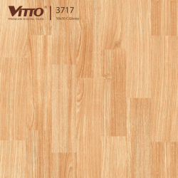 Gach-Vitto-5050-3717
