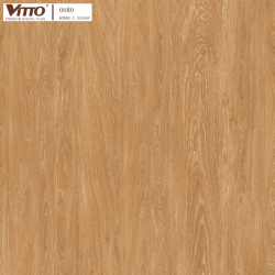 Gach-Vitto-6060-0680-C