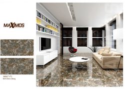 Thiết kế phòng với Gạch Vitto 60x120 3606