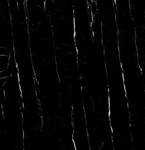 Gach-Vitto-60120-3633