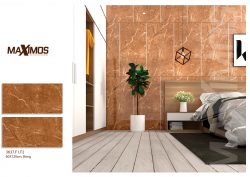 Thiết kế phòng với Gạch Vitto 60x120 3637