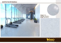 Thiết kế phòng với Gạch Vitto 80x80 4106
