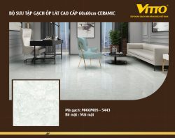 Thiết kế phòng với Gạch Vitto 60x60 5443