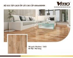 Thiết kế phòng với Gạch Vitto 60x60 5483
