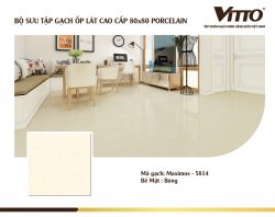Thiết kế phòng với Gạch Vitto 80x80 5814