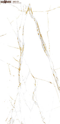 Gach-Vitto-60120-3801 Gach Vitto 60120 3801