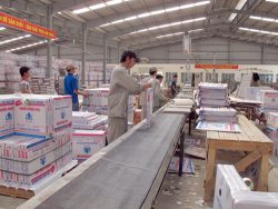 Nha-Phan-phoi-Gach-CMC-Ha-Noi