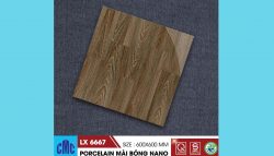 Gach-Cmc-6060-Lx-6667