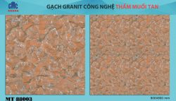Gach-Cmc-8080-Mt-88003