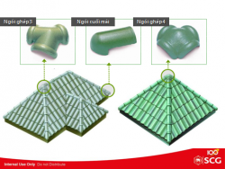 Tong-kho-ngoi-lop-SCG-Ha-Noi