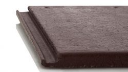 Ngoi-Mau-Scg-Phang-Mau-Deep-Maroon