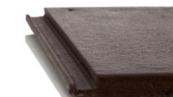 Ngoi-Mau-Scg-Phang-Mau-Log-Brown