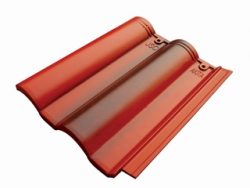 Ngoi-Mau-Jsc-Akita-1206