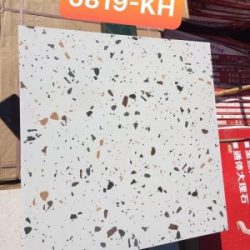 Gach-gia-da-granito-Terrazzo-6060-6819