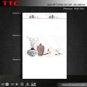 Gach Op Tuong Ttc 3060cm Wb39019 Db36019